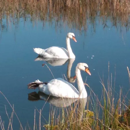 Duplex De Encanto En Isla Playa Appartement Arnuero