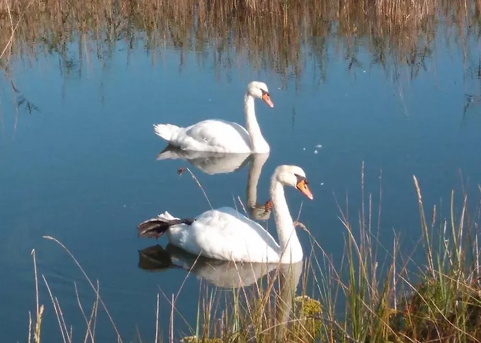 Duplex De Encanto En Isla Playa Apartment Arnuero
